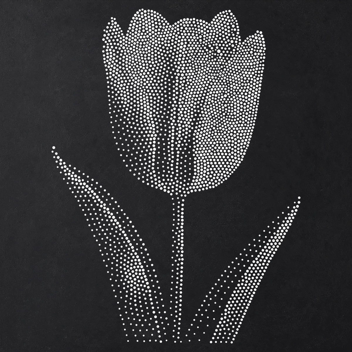 Tulip Flower Stencil | Realistic Mylar Stipple Wall Art, Crafts (Large - 300mm / 12" approx)