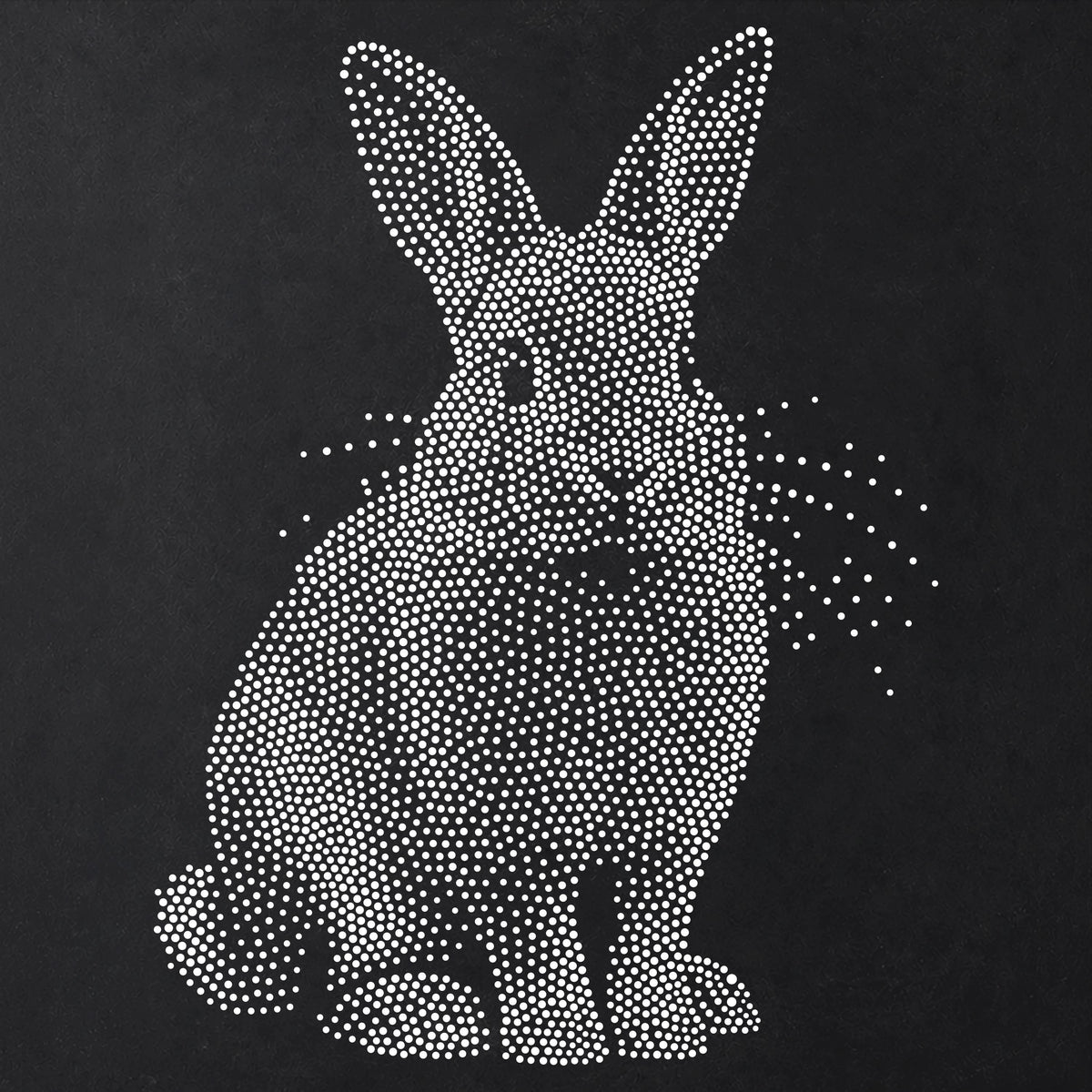 Rabbit Stencil | Realistic Mylar Stipple Wall Art, Crafts (Large - 300mm / 12" approx)
