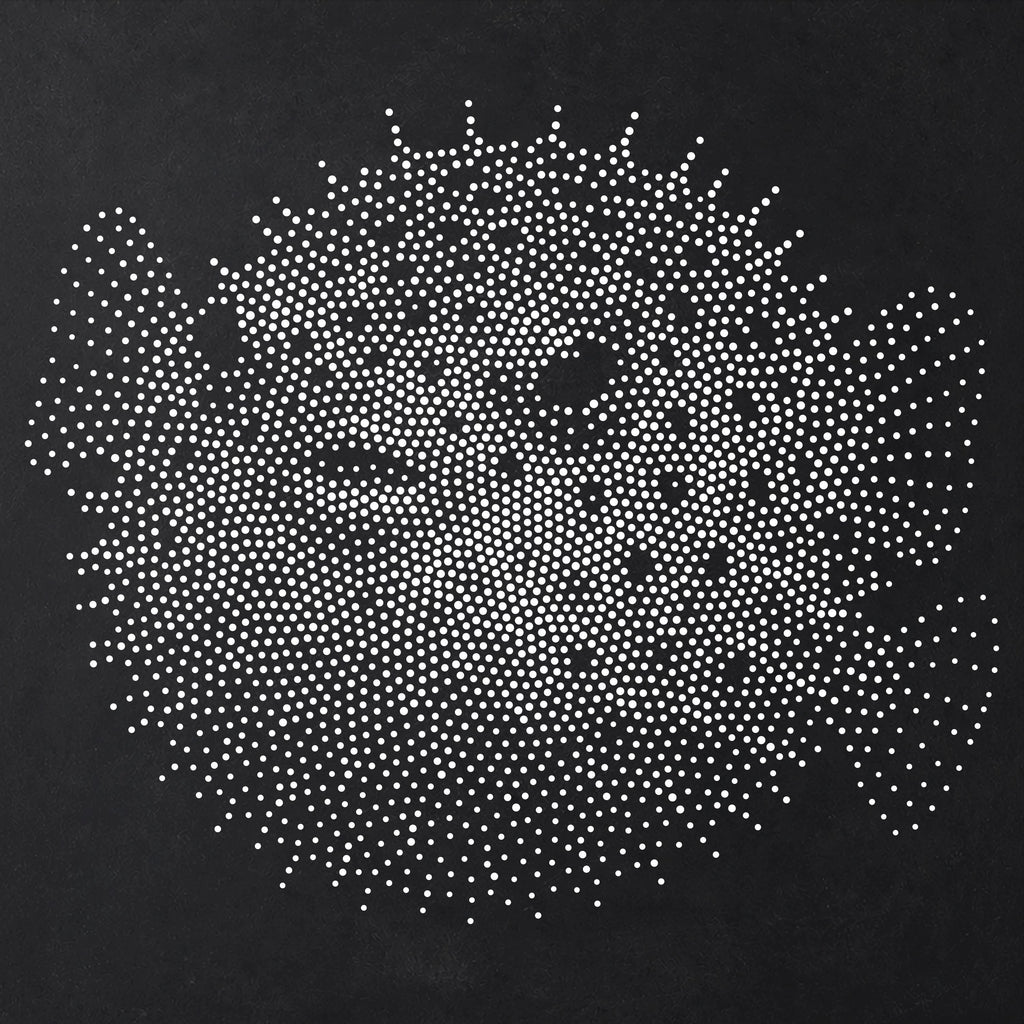Pufferfish Fish Stencil | Realistic Mylar Stipple Wall Art, Crafts (Large - 300mm / 12" approx)