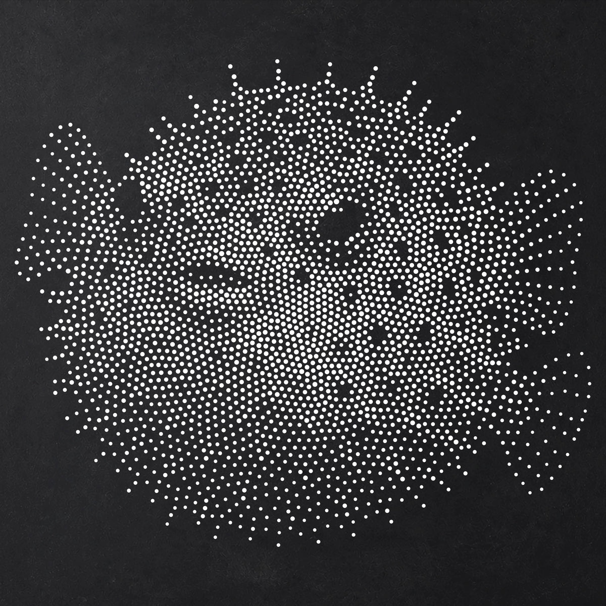 Pufferfish Fish Stencil | Realistic Mylar Stipple Wall Art, Crafts (Large - 300mm / 12" approx)