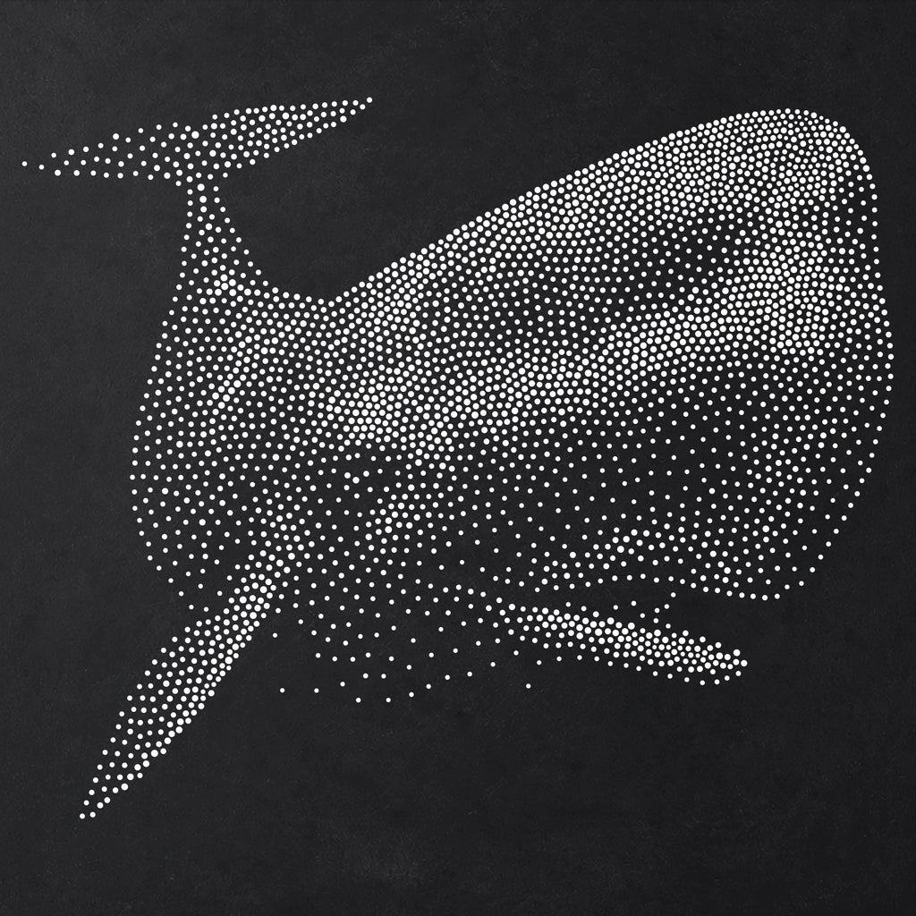 Sperm Whale Stencil | Realistic Mylar Stipple Wall Art, Crafts (Large - 300mm / 12" approx)