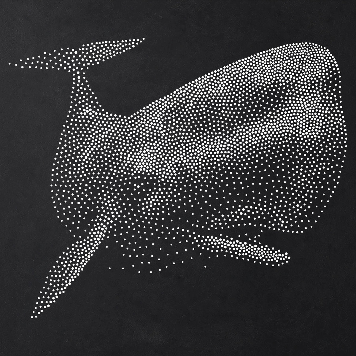 Sperm Whale Stencil | Realistic Mylar Stipple Wall Art, Crafts (Large - 300mm / 12" approx)