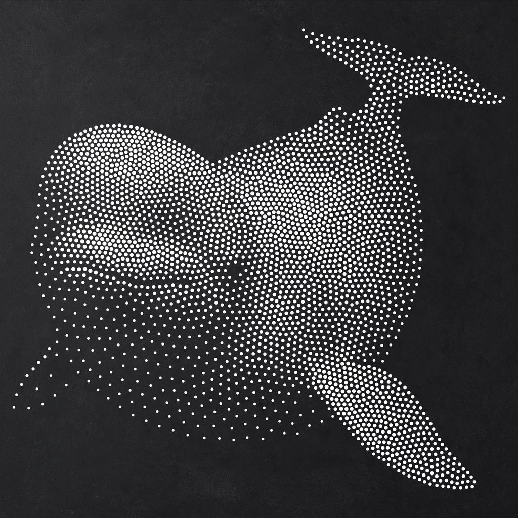Beluga Whale Stencil | Realistic Mylar Stipple Wall Art, Crafts (Large - 300mm / 12" approx)