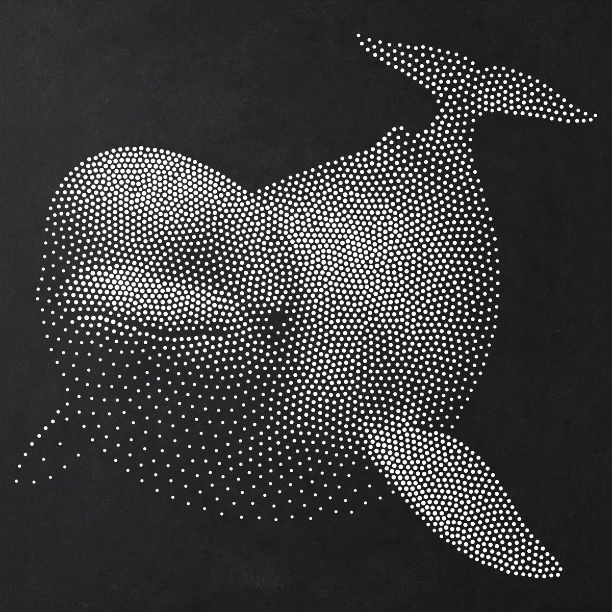 Beluga Whale Stencil | Realistic Mylar Stipple Wall Art, Crafts (Large - 300mm / 12" approx)