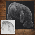 Manatee Stencil reusable Mylar stencil, 300 x 300 mm