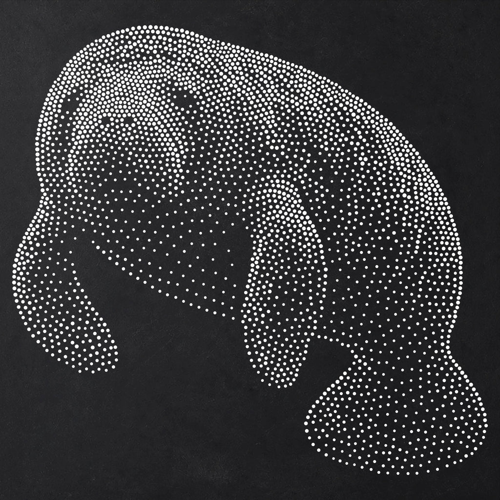 Manatee Stencil | Realistic Mylar Stipple Wall Art, Crafts (Large - 300mm / 12" approx)