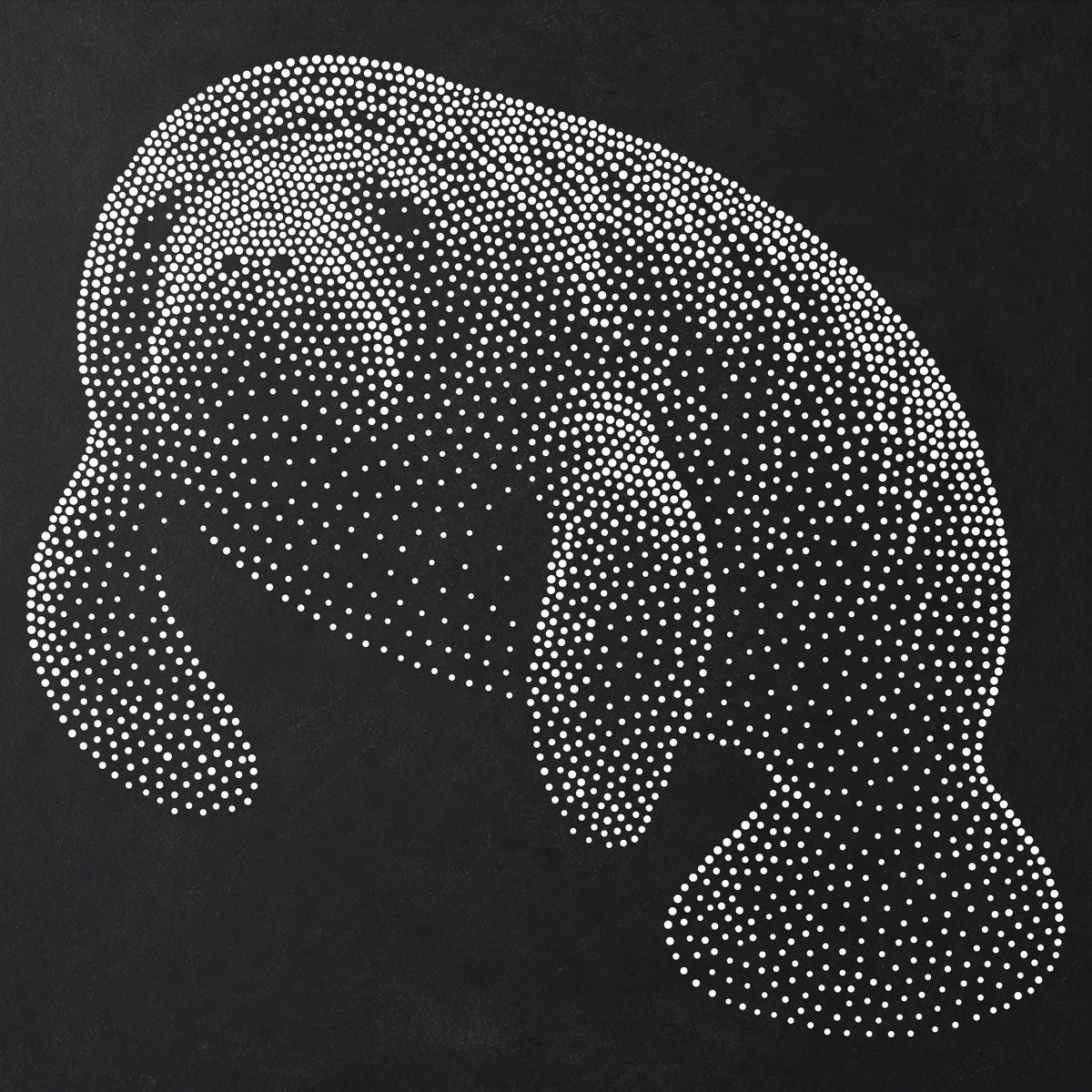 Manatee Stencil | Realistic Mylar Stipple Wall Art, Crafts (Large - 300mm / 12" approx)
