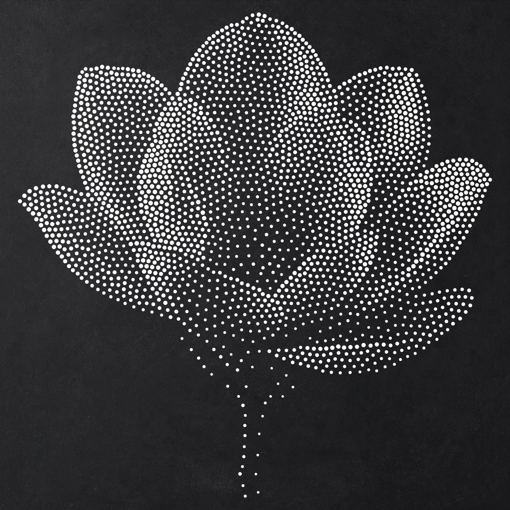 Magnolia Flower Stencil | Realistic Mylar Stipple Wall Art, Crafts (Large - 300mm / 12" approx)
