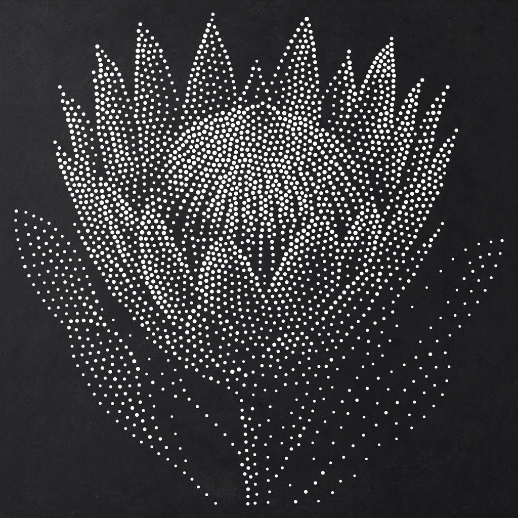 Protea Flower Stencil | Realistic Mylar Stipple Wall Art, Crafts (Large - 300mm / 12" approx)