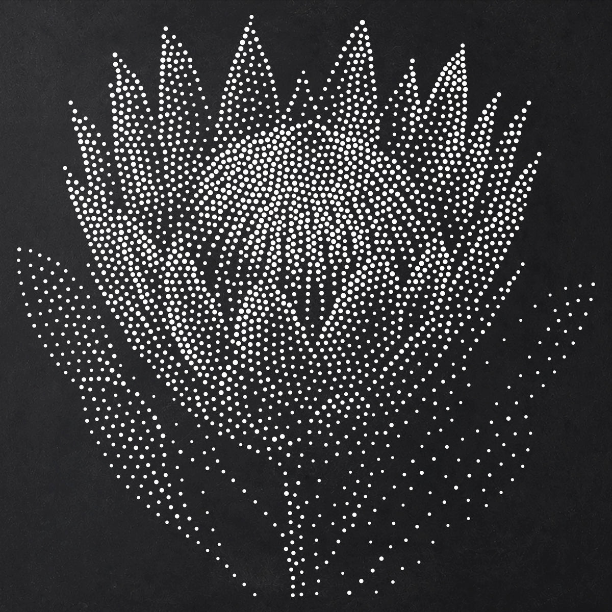 Protea Flower Stencil | Realistic Mylar Stipple Wall Art, Crafts (Large - 300mm / 12" approx)