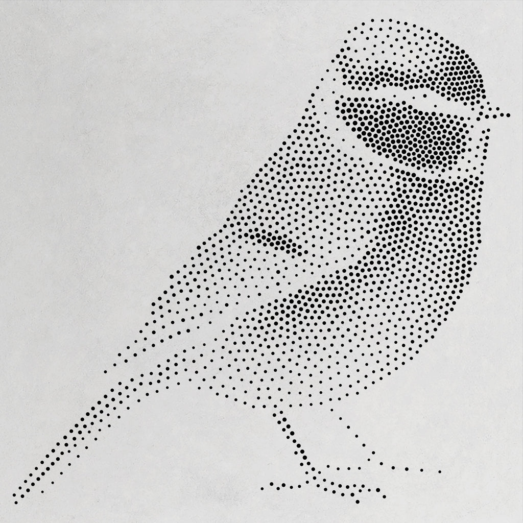 Blue Tit Bird Stencil | Realistic Mylar Stipple Wall Art, Crafts (Large - 300mm / 12" approx)