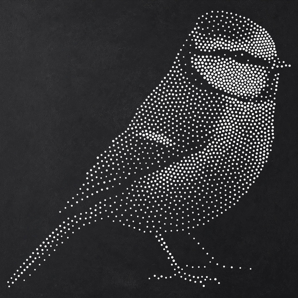 Blue Tit Bird Stencil | Realistic Mylar Stipple Wall Art, Crafts (Large - 300mm / 12" approx)