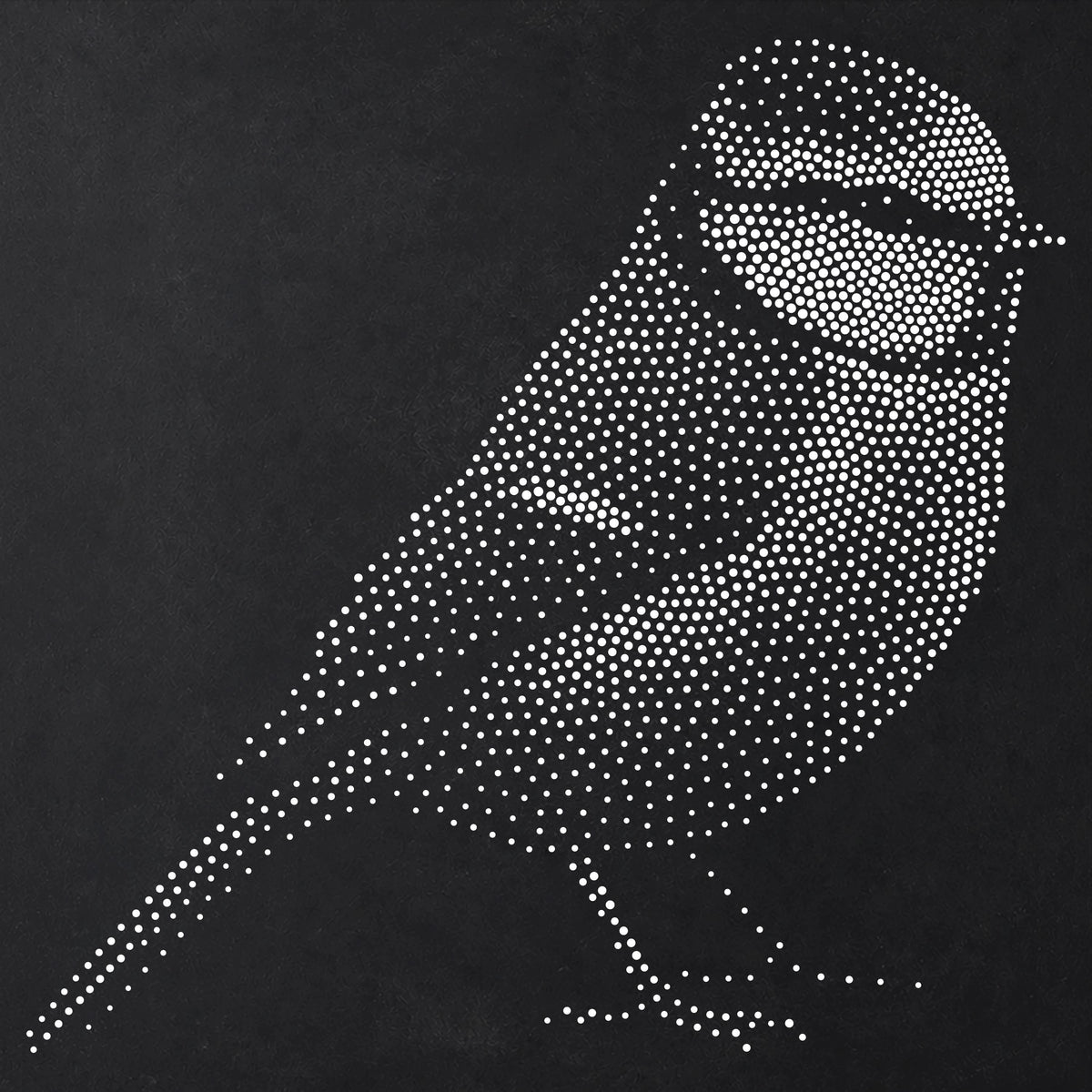 Blue Tit Bird Stencil | Realistic Mylar Stipple Wall Art, Crafts (Large - 300mm / 12" approx)