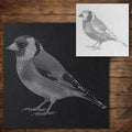 Goldfinch Bird Stencil reusable Mylar stencil, 300 x 300 mm