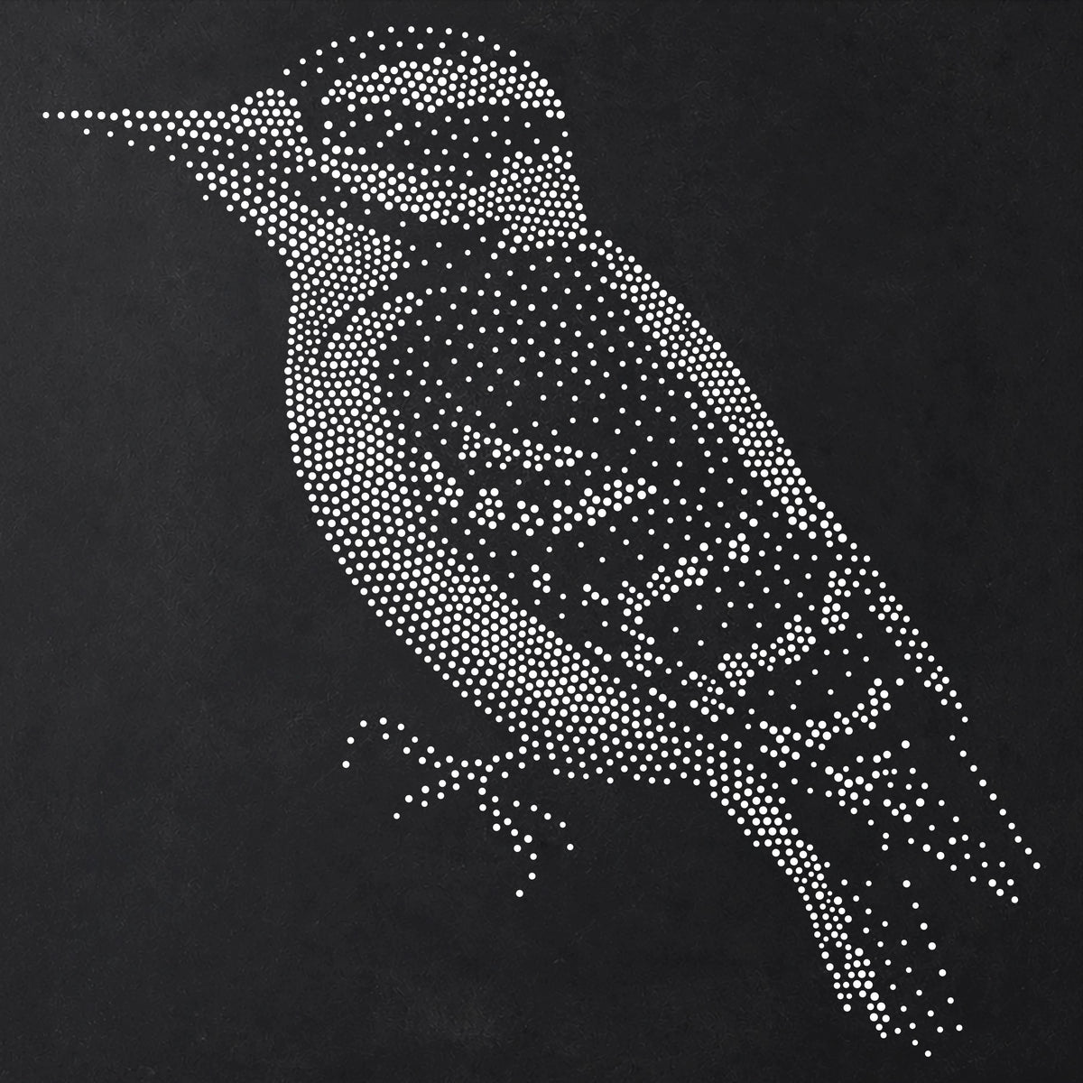 Woodpecker Bird Stencil | Realistic Mylar Stipple Wall Art, Crafts (Large - 300mm / 12" approx)
