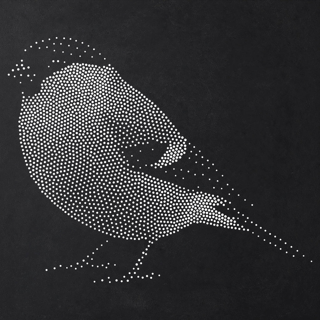Bullfinch Bird Stencil | Realistic Mylar Stipple Wall Art, Crafts (Large - 300mm / 12" approx)