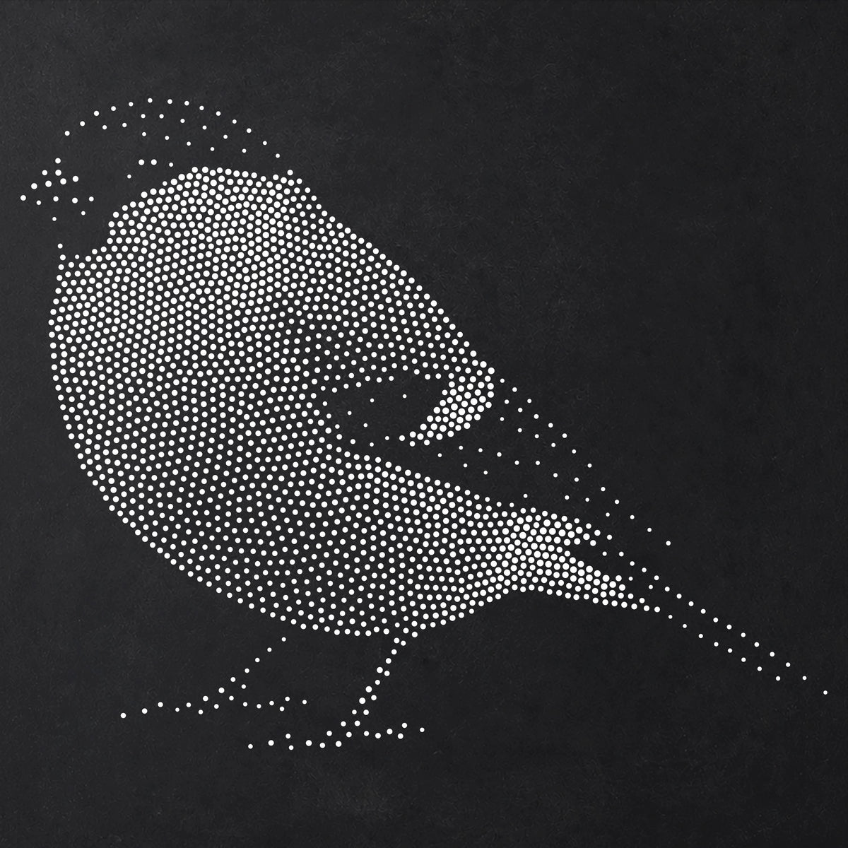 Bullfinch Bird Stencil | Realistic Mylar Stipple Wall Art, Crafts (Large - 300mm / 12" approx)