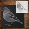 Chaffinch Bird Stencil reusable Mylar stencil, 300 x 300 mm