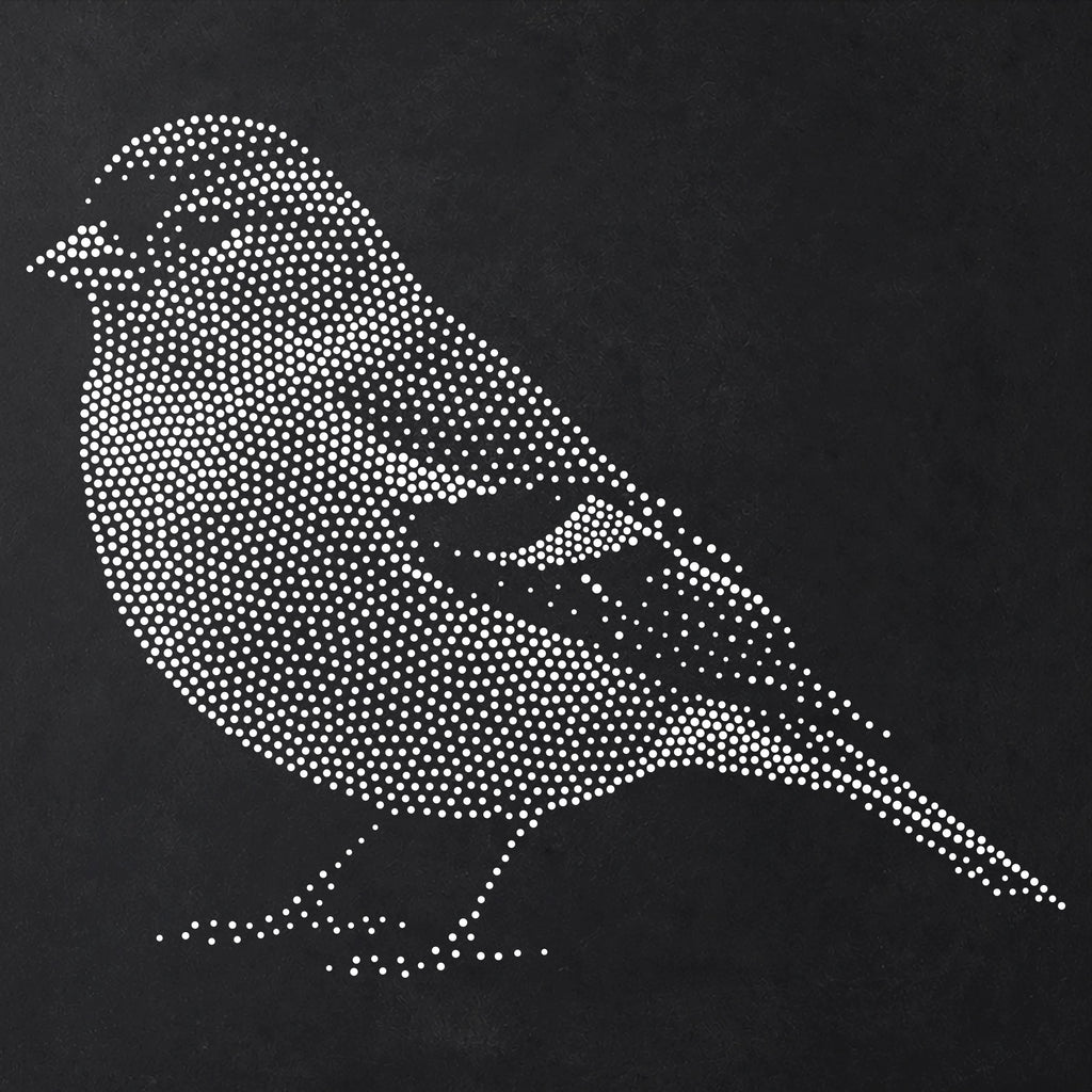 Chaffinch Bird Stencil | Realistic Mylar Stipple Wall Art, Crafts (Large - 300mm / 12" approx)