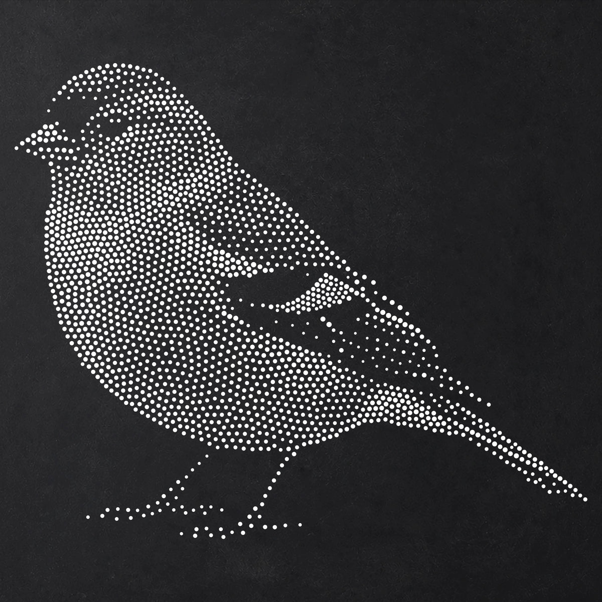 Chaffinch Bird Stencil | Realistic Mylar Stipple Wall Art, Crafts (Large - 300mm / 12" approx)