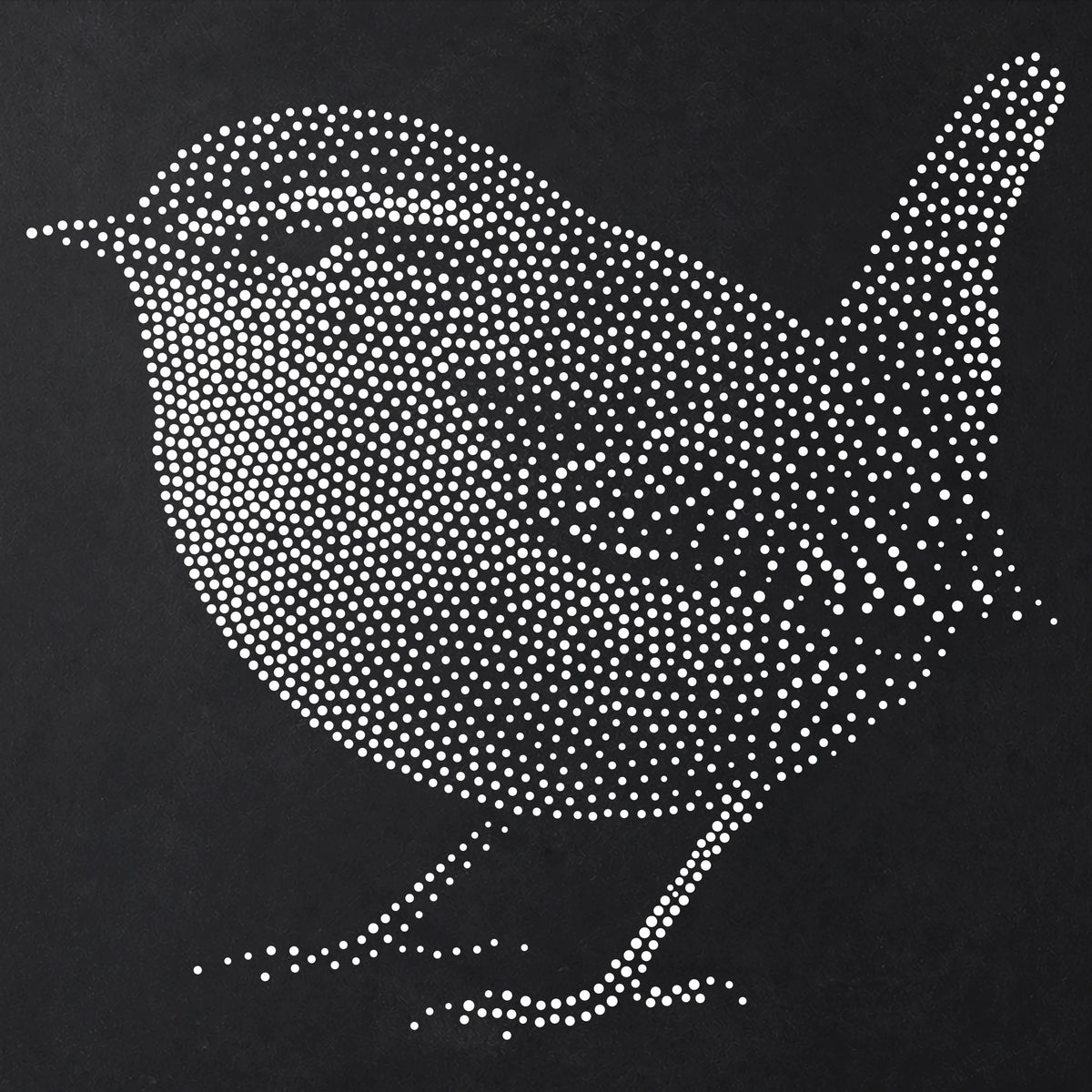 Wren Bird Stencil | Realistic Mylar Stipple Wall Art, Crafts (Large - 300mm / 12" approx)