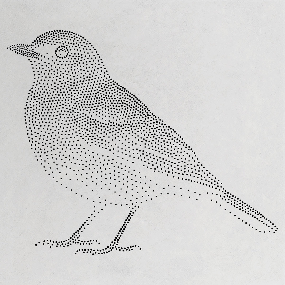 Blackbird Bird Stencil | Realistic Mylar Stipple Wall Art, Crafts (Large - 300mm / 12" approx)