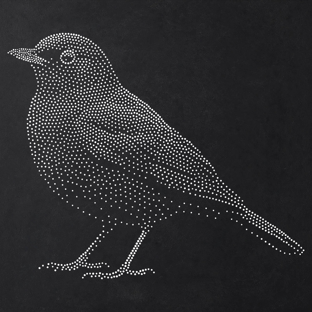 Blackbird Bird Stencil | Realistic Mylar Stipple Wall Art, Crafts (Large - 300mm / 12" approx)