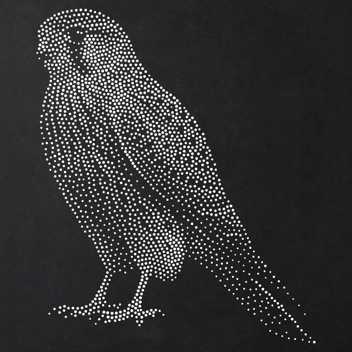 Kestrel Bird of Prey Stencil | Realistic Mylar Stipple Wall Art, Crafts (Large - 300mm / 12" approx)