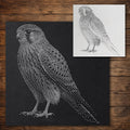 Kestrel Bird of Prey Stencil reusable Mylar stencil, 300 x 300 mm