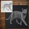Russian Blue Cat Stencil reusable Mylar stencil, 300 x 300 mm
