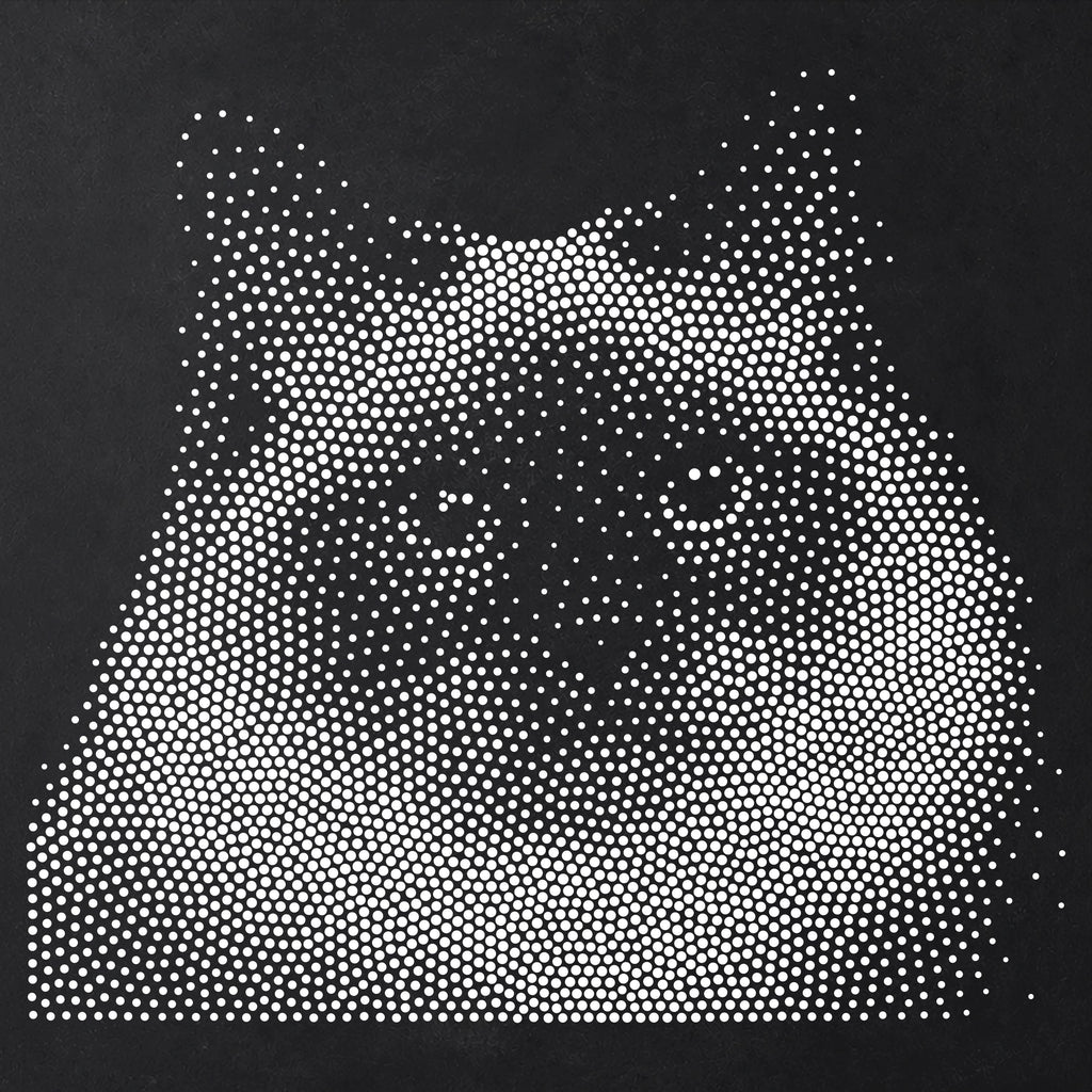 Birman Cat Stencil | Realistic Mylar Stipple Wall Art, Crafts (Large - 300mm / 12" approx)
