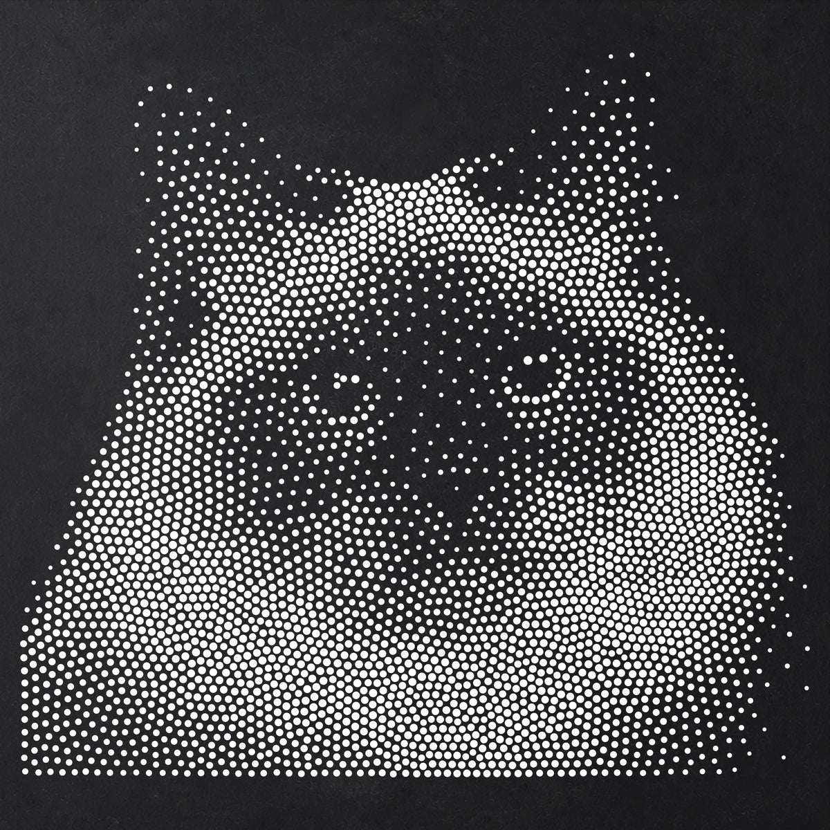 Birman Cat Stencil | Realistic Mylar Stipple Wall Art, Crafts (Large - 300mm / 12" approx)