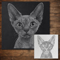 Devon Rex Cat Stencil reusable Mylar stencil, 300 x 300 mm
