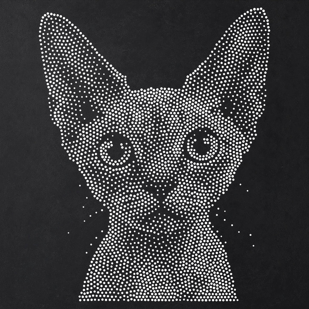 Devon Rex Cat Stencil | Realistic Mylar Stipple Wall Art, Crafts (Large - 300mm / 12" approx)