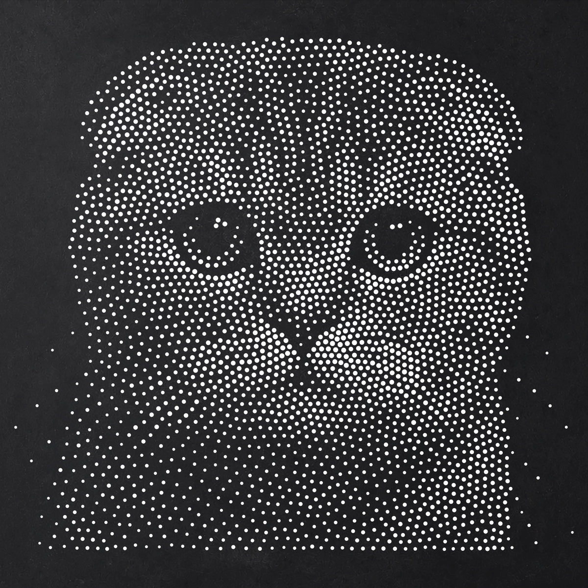 Scottish Fold Cat Stencil | Realistic Mylar Stipple Wall Art, Crafts (Large - 300mm / 12" approx)