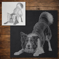 Border Collie Dog Playing Stencil reusable Mylar stencil, 300 x 300 mm