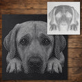 Labrador Retriever Stencil reusable Mylar stencil, 300 x 300 mm