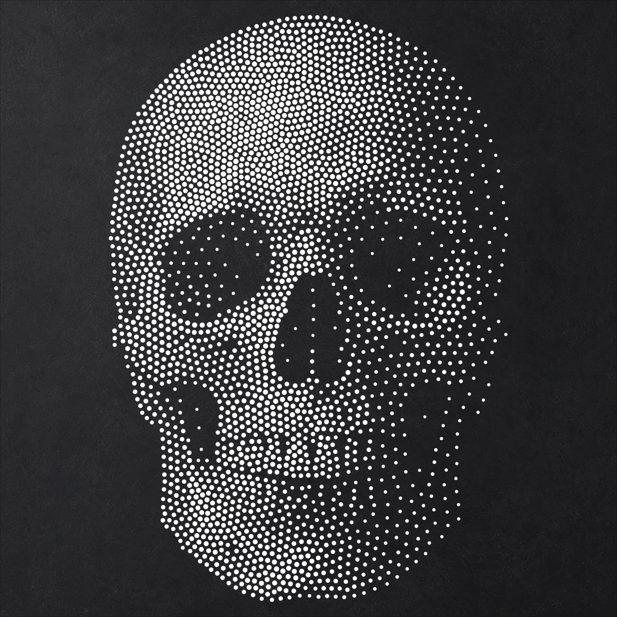 Human Skull #2 Stencil | Realistic Highly Detailed DIY Mylar Wall Art, Stipple Art Crafts (Large - 300mm / 12" approx)