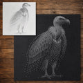 Vulture Bird Stencil reusable Mylar stencil, 300 x 300 mm