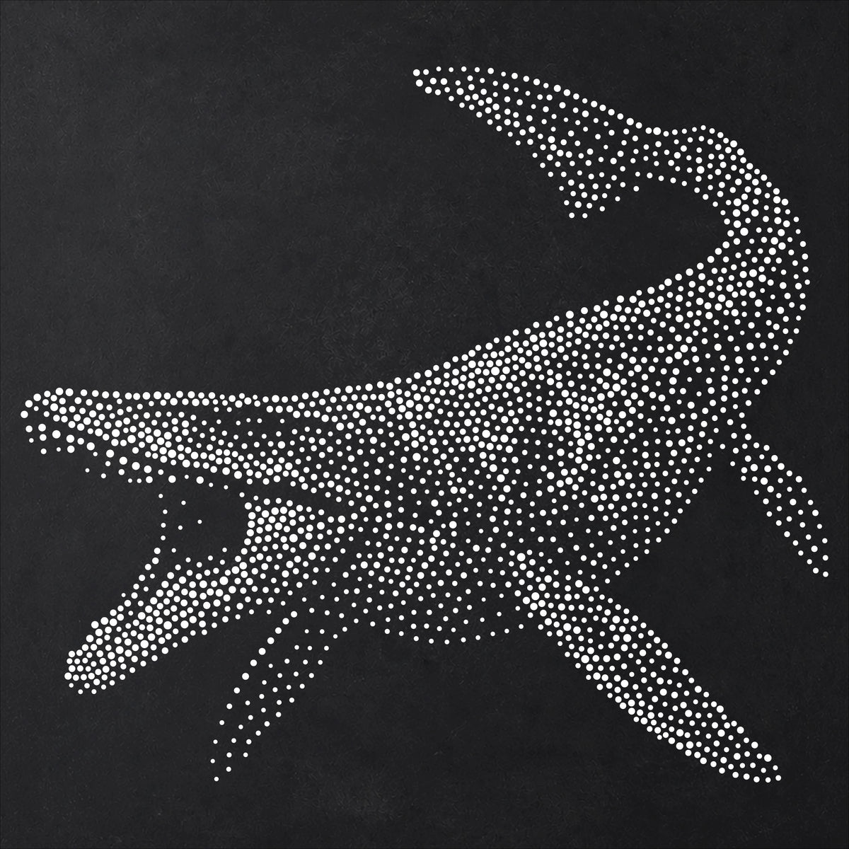 Mosasaurus Dinosaur Stencil | Realistic Mylar Stipple Wall Art, Crafts (Large - 300mm / 12" approx)