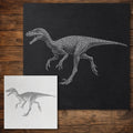 Compsognathus Dinosaur Stencil reusable Mylar stencil, 300 x 300 mm
