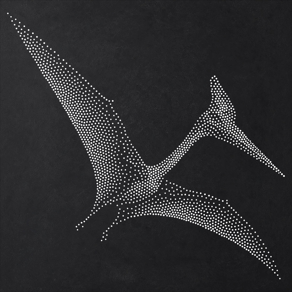 Quetzalcoatlu Pterosaur Stencil | Realistic Mylar Stipple Wall Art, Crafts (Large - 300mm / 12" approx)