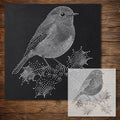 Christmas Robin with Holly Stencil reusable Mylar stencil, 300 x 300 mm
