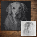 Golden Retriever Dog Stencil reusable Mylar stencil, 300 x 300 mm