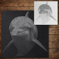 Dolphin Stencil reusable Mylar stencil, 300 x 300 mm