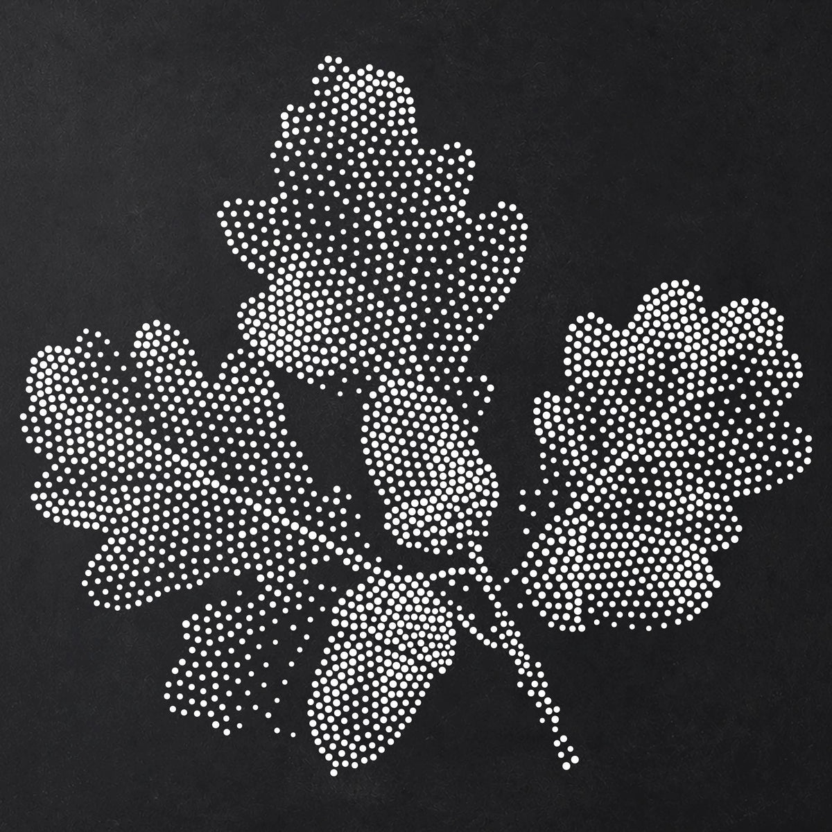 Oak Leaf and Acorns Stencil | Realistic Highly Detailed DIY Mylar Wall Art, Stipple Art Crafts (Large - 300mm / 12" approx)
