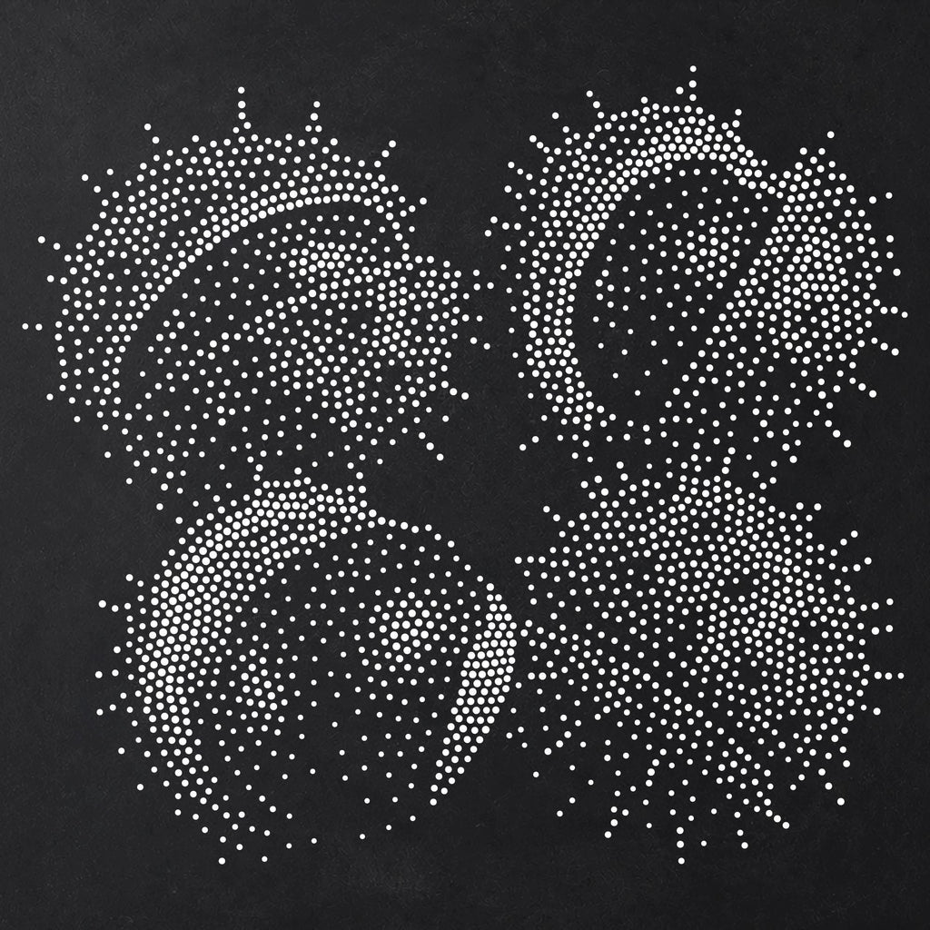 Conkers in Husks Stencil | Realistic Highly Detailed DIY Mylar Wall Art, Stipple Art Crafts (Large - 300mm / 12" approx)