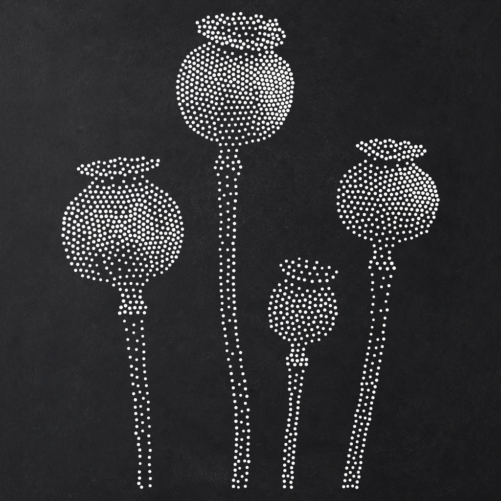 Poppy Seed Pods Stencil | Realistic Highly Detailed DIY Mylar Wall Art, Stipple Art Crafts (Large - 300mm / 12" approx)