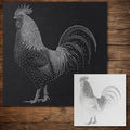 Rooster Stencil reusable Mylar stencil, 300 x 300 mm