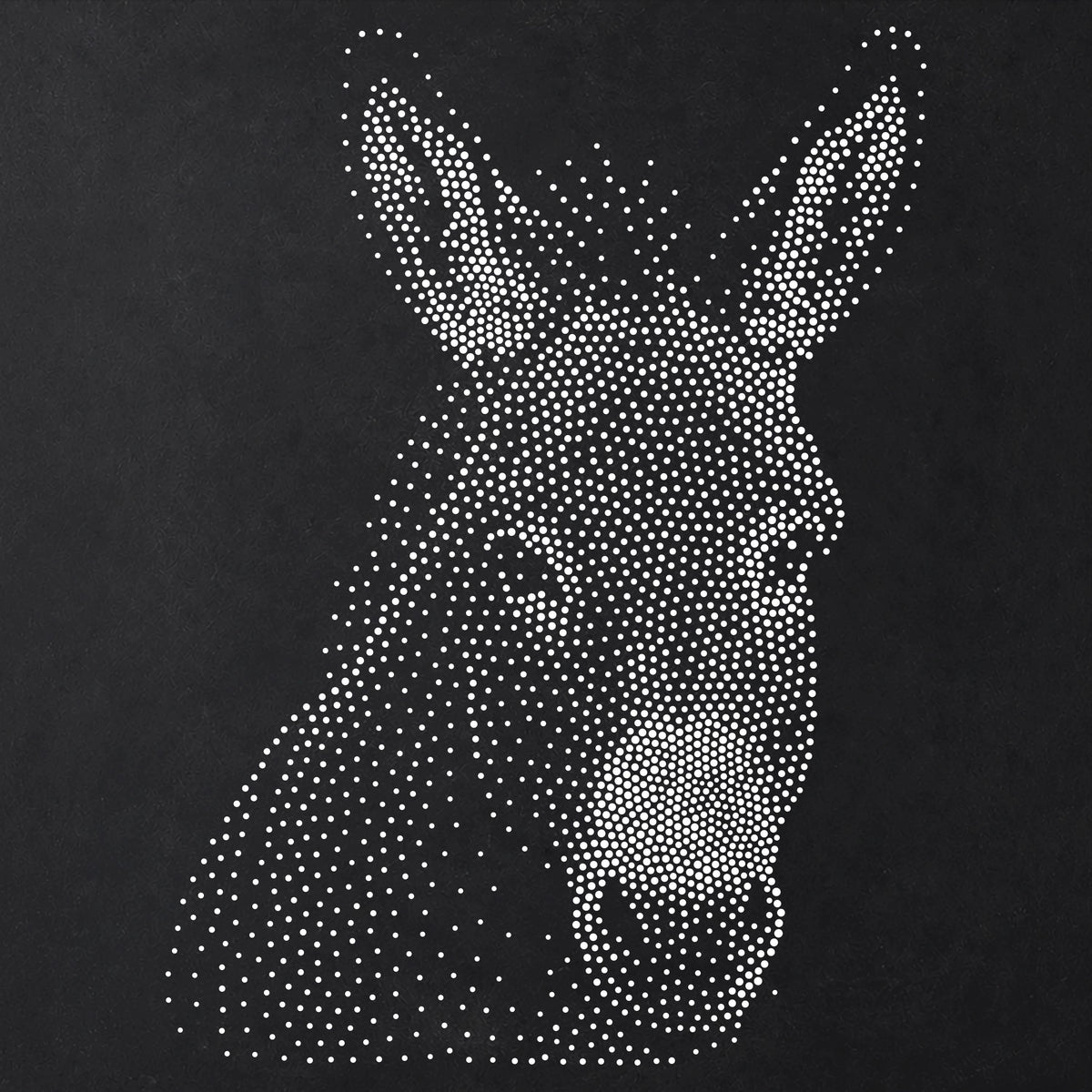 Donkey Face Stencil | Realistic Mylar Stipple Wall Art, Crafts (Large - 300mm / 12" approx)